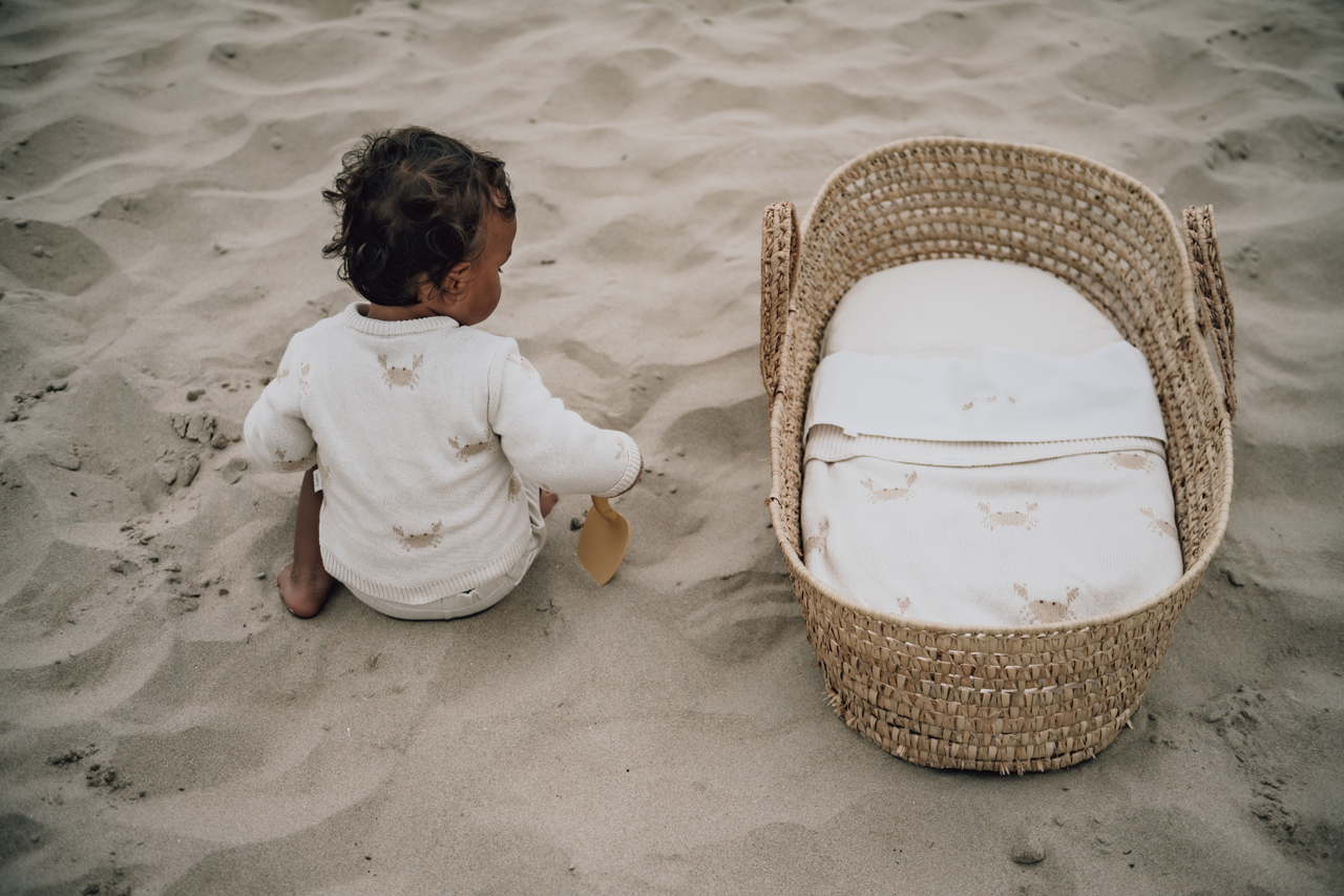 Beach bassinet hot sale